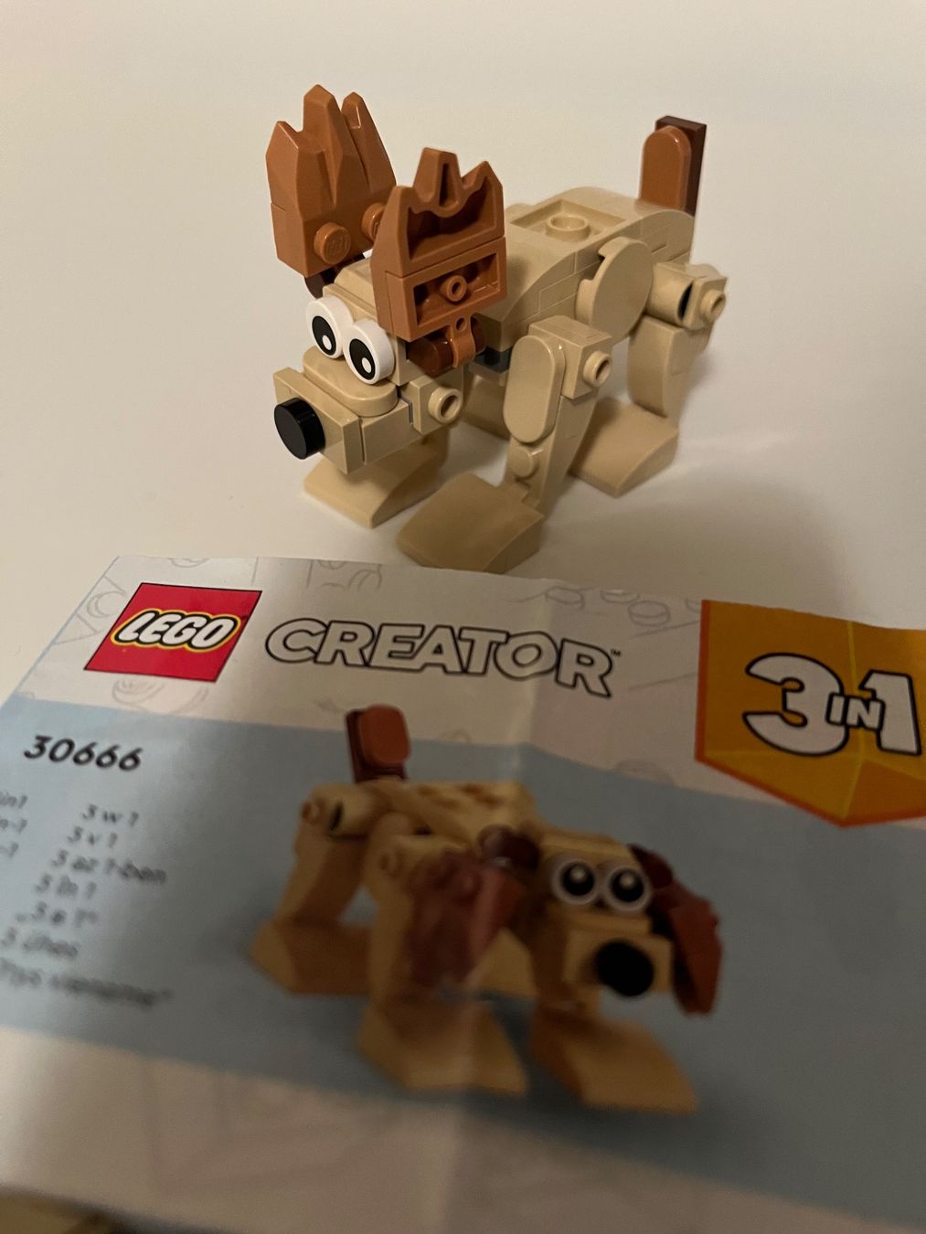 Lego Giocattoli: Lego Creator 30666 3-in 1 – Usato da Stäfa venduto da Exclusive0 2