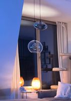 Glas-Pendelleuchte, Schwarz  gebraucht, sehr guter Zustand