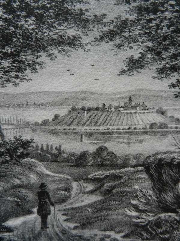 Incisioni: Insel Mainau Bodensee selten – Usato da Risch venduto da Rischli15 5