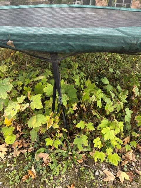 Salta Trampolini: Trampolin Salta 360cm – Usato da Biberist venduto da figura01 4