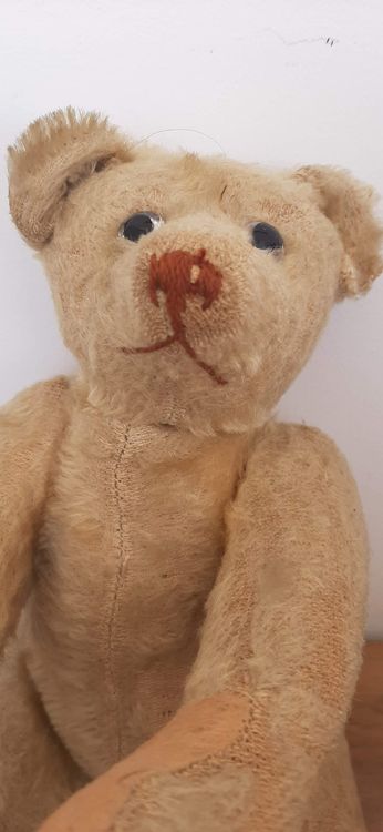Ancien ours Steiff long en mohair doré « Alastair », vers 1900 - En vente sur France