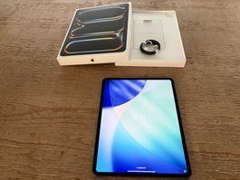 Apple iPad Pro 13 M5 256GB Black WiFi + Cellular (wie neu)