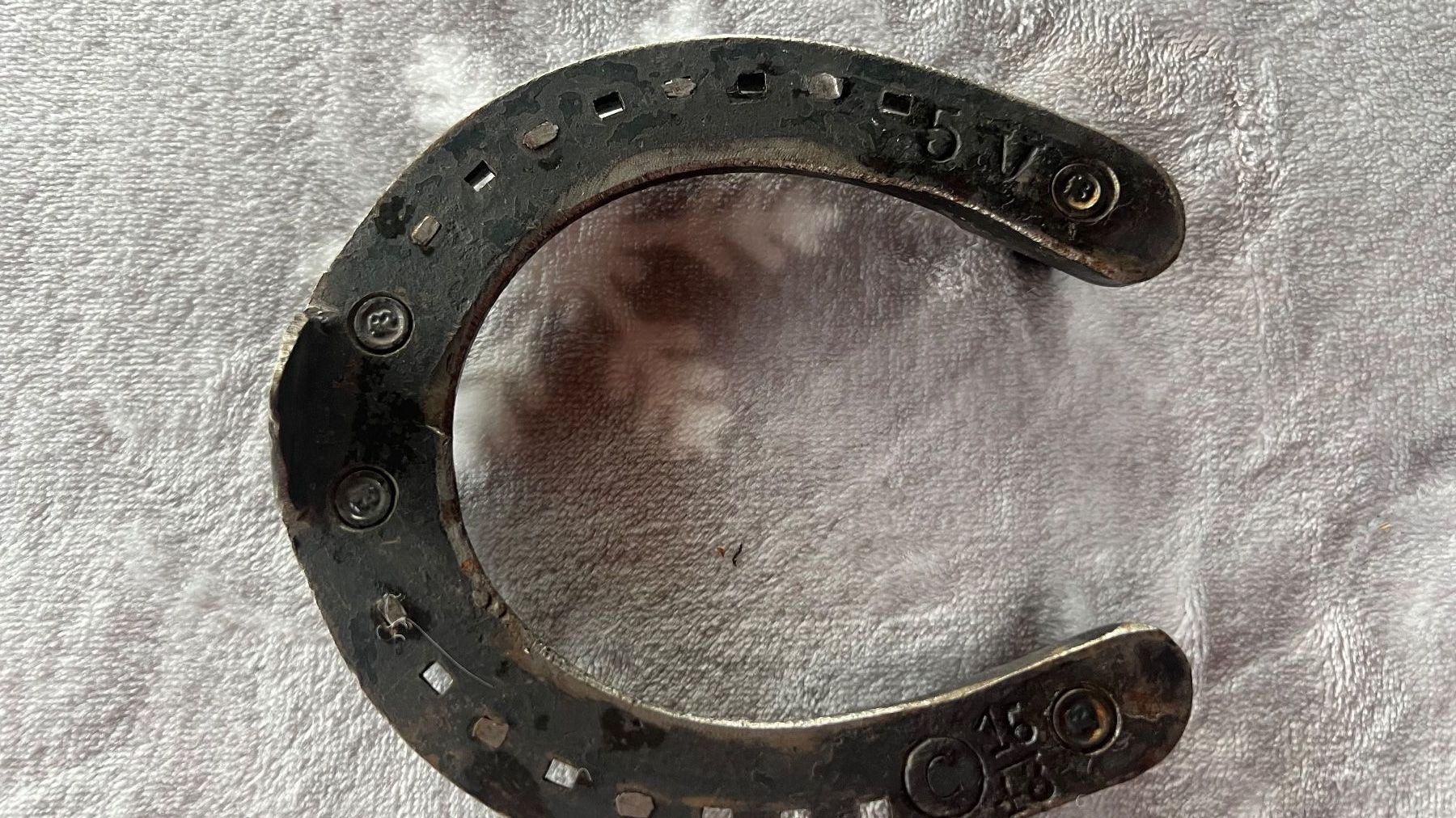 Altro in Accessori per animali: Schweizer Armee Hufeisen I / 54 – Usato da Schübelbach venduto da Dolly990_2 2