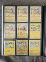 Pokemon Pikachu kollektion ab 1.-