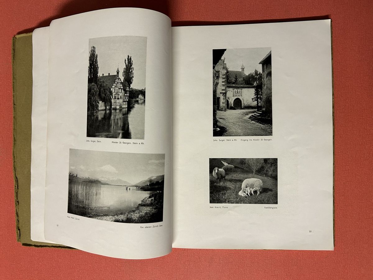 Libri: Antikes Buch: Schweizerland, Heimatland, 1916 – Usato da Lanzenhäusern venduto da vic63 2