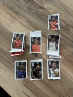 Panini Coca Cola Sticker