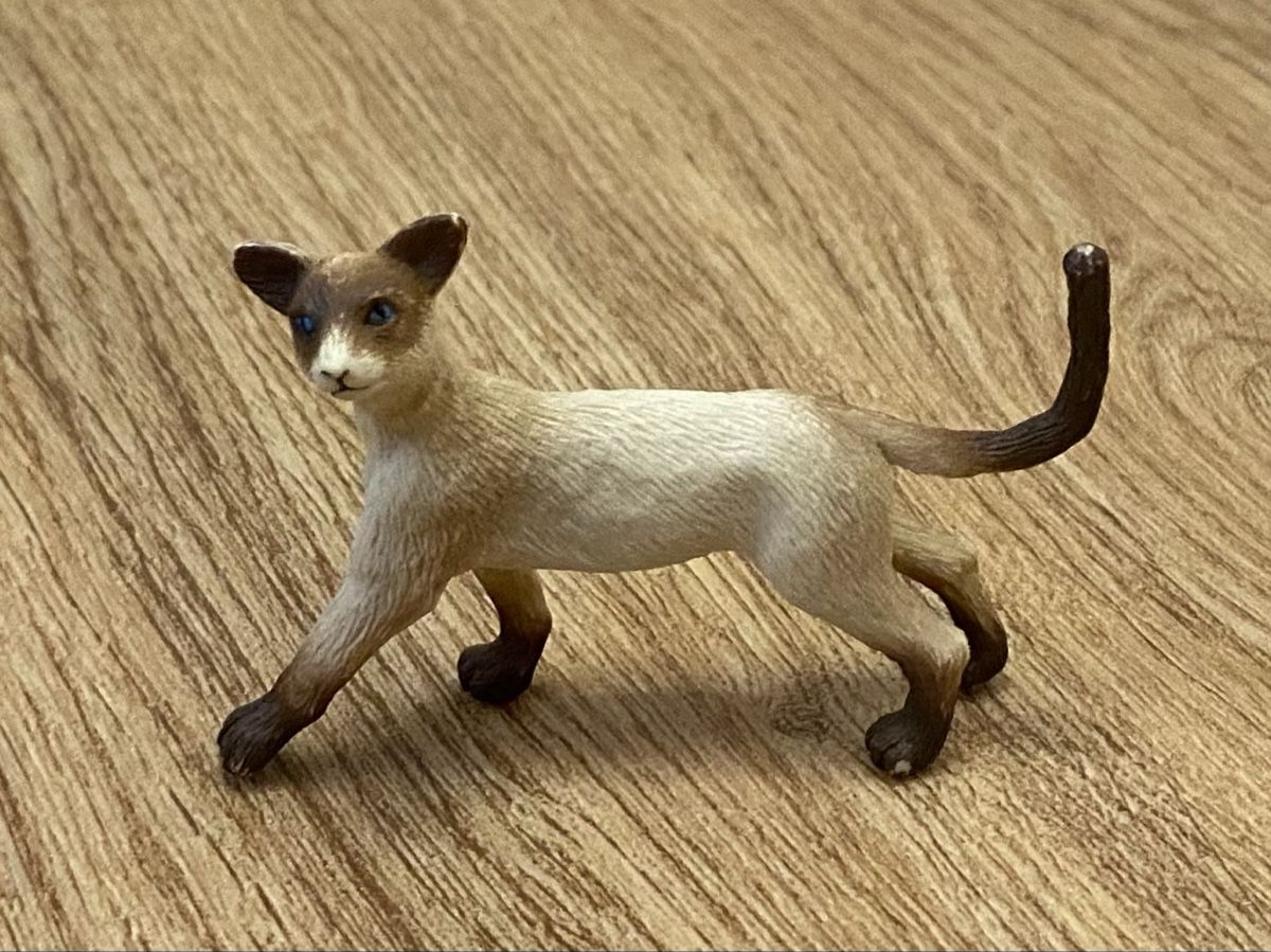 Schleich Spielzeuge: Schleich Katze  – Gebraucht aus Flawil von Vera44