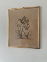 maria sibylla merian historischer Druck