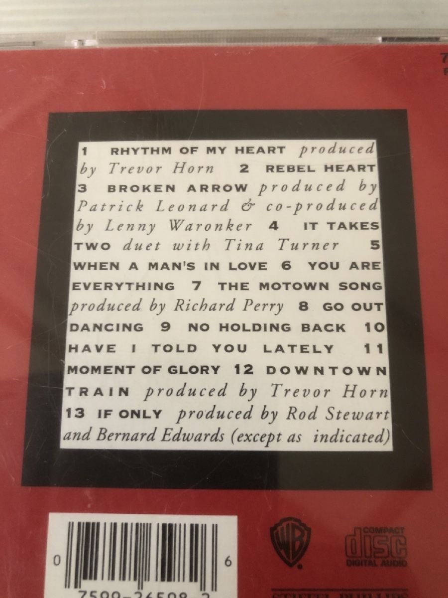 CD: Rod Stewart  Vagabond Heart   – Usato da Flaach venduto da rubo7 2
