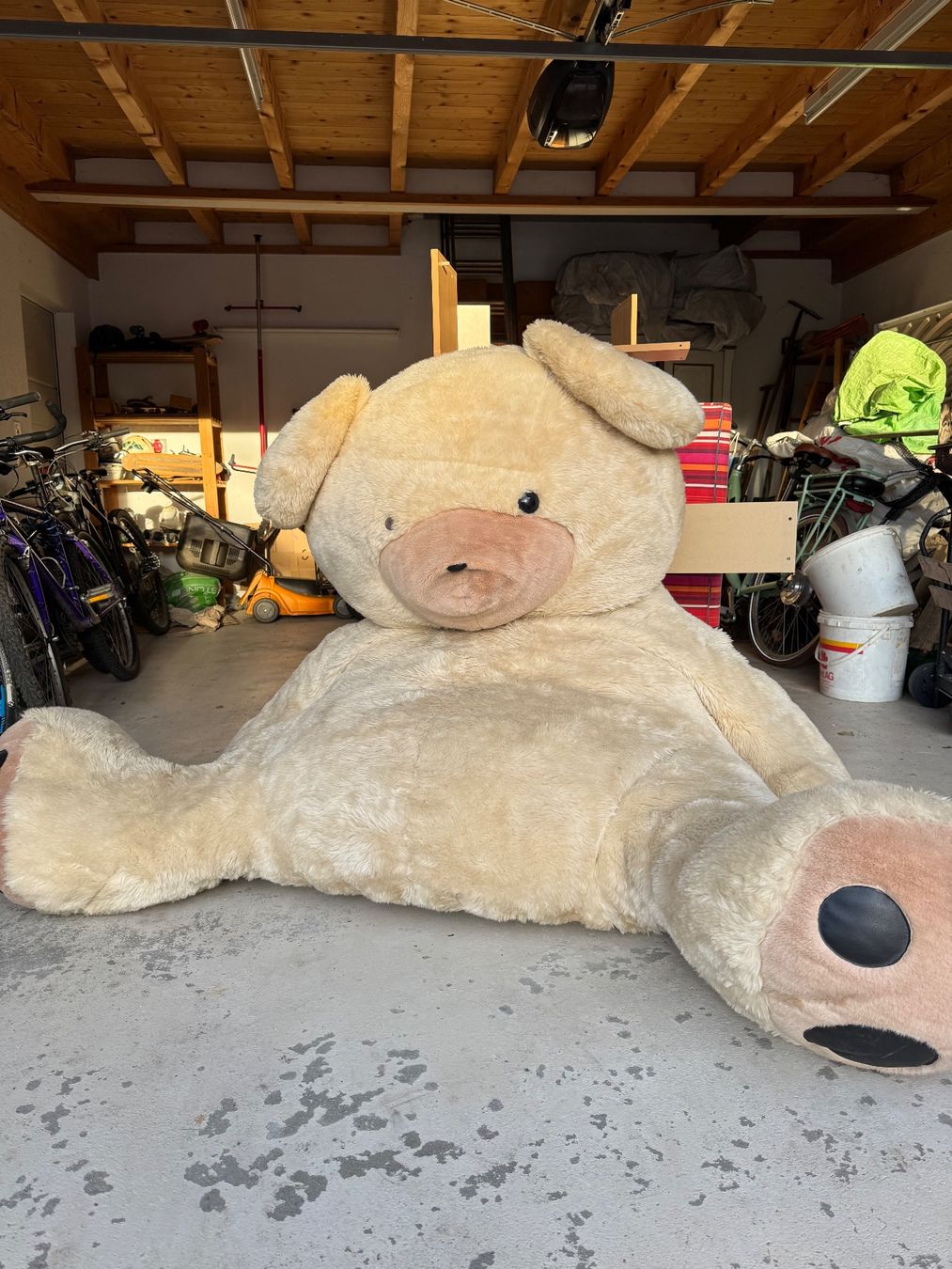 Spielzeuge: Peluche géante – Gebraucht aus Courrendlin von ant_gnl8