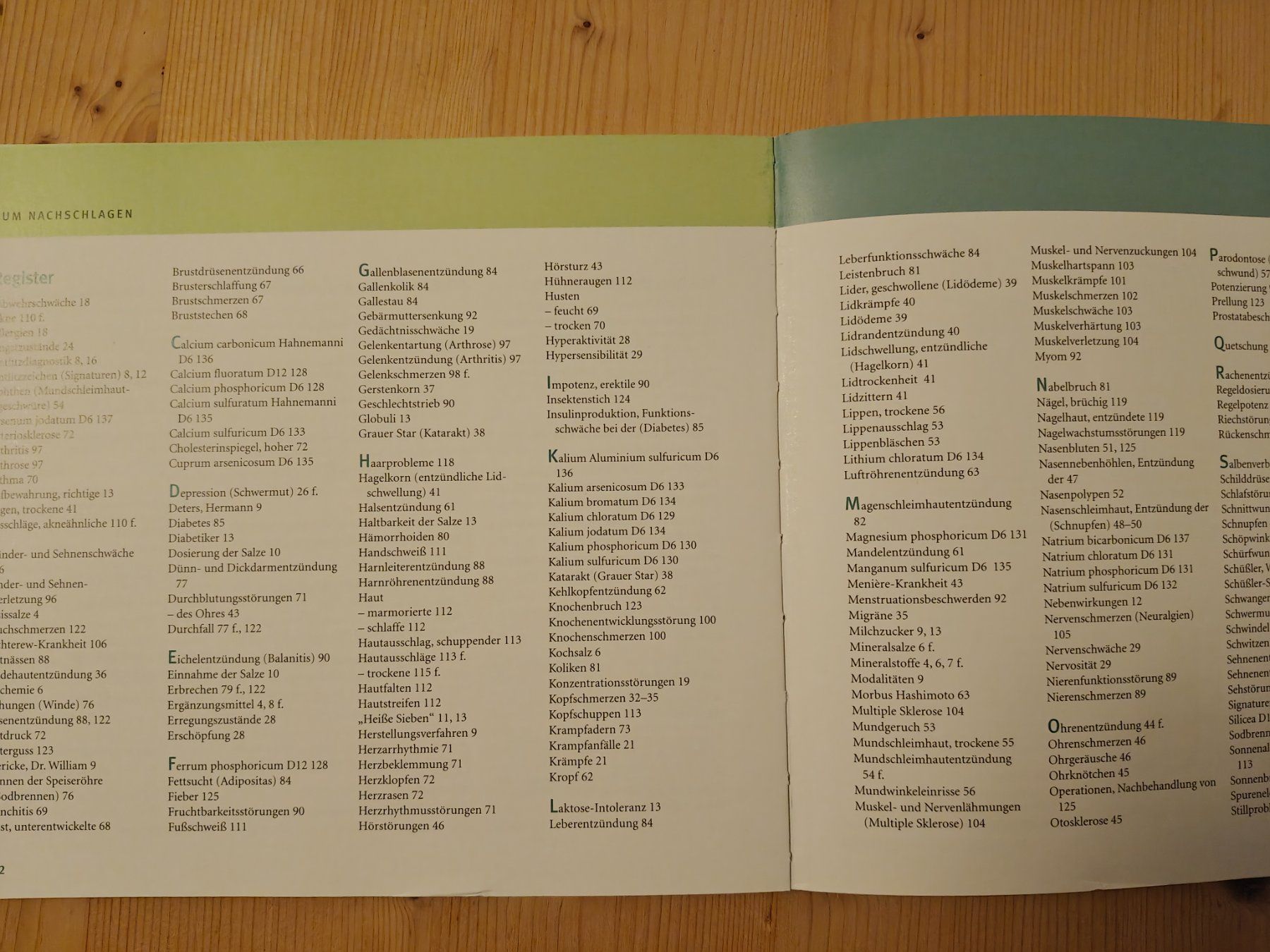 Libri: Quickfinder Schüßler-Salze / GU 2017 - G. Heepen – Usato da Muttenz venduto da IkaSul 4