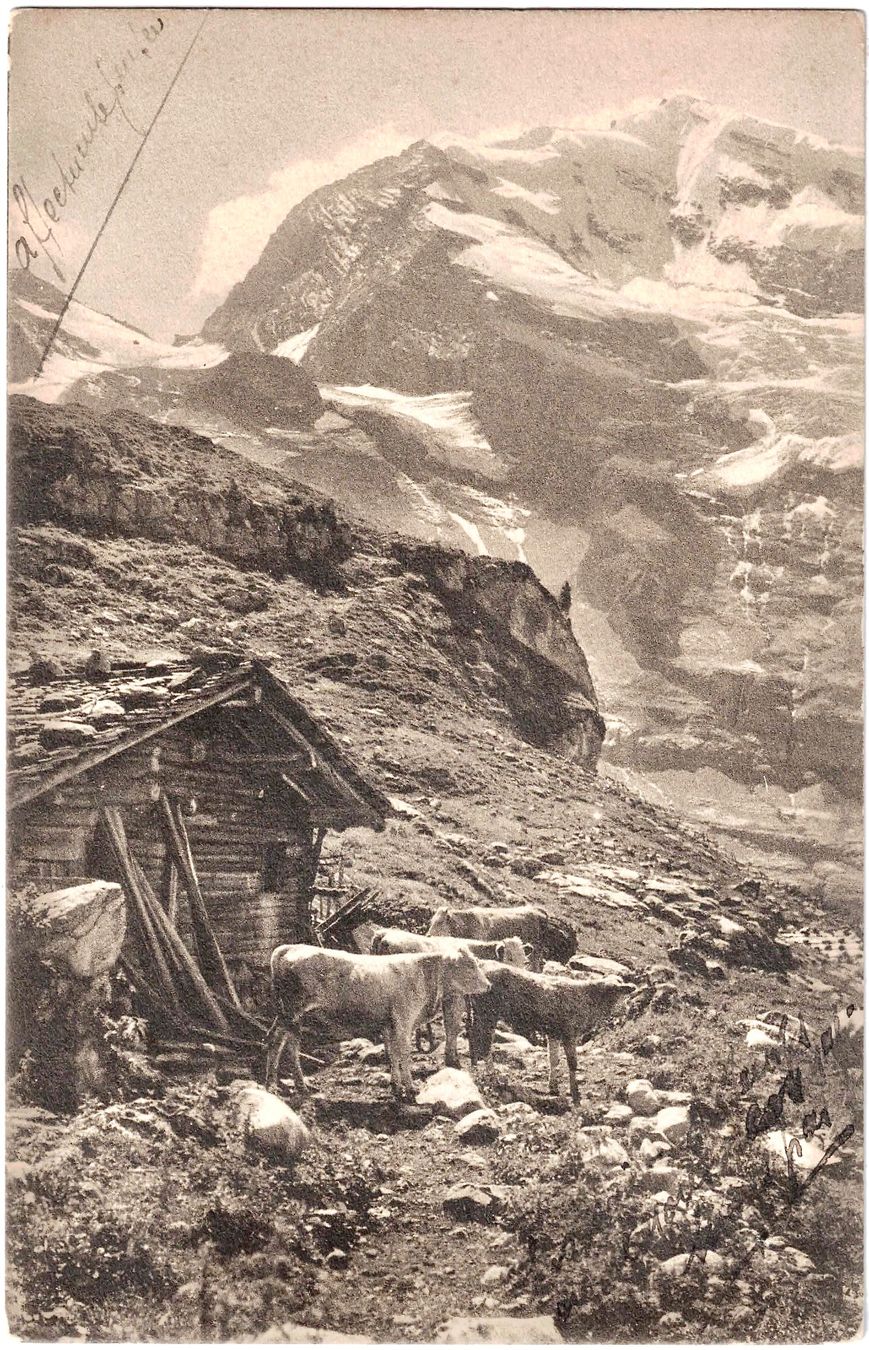 Cartoline postali: Bergen im VAUD ca. 1910 (VD) – Usato da Oberdorf BL venduto da Hopfehuepfer