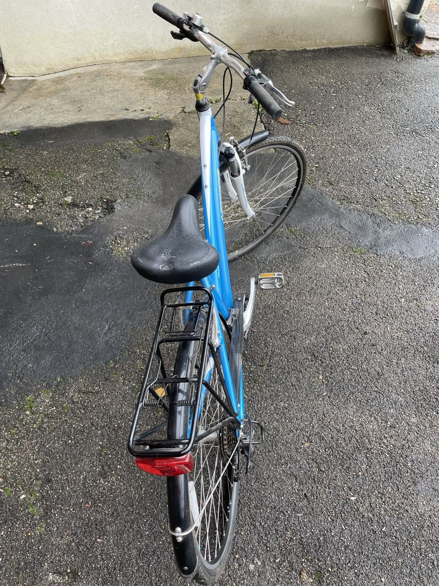 Biciclette: Damen Velo – Nuovo (secondo la descrizione) da Schupfart venduto da famueller 4