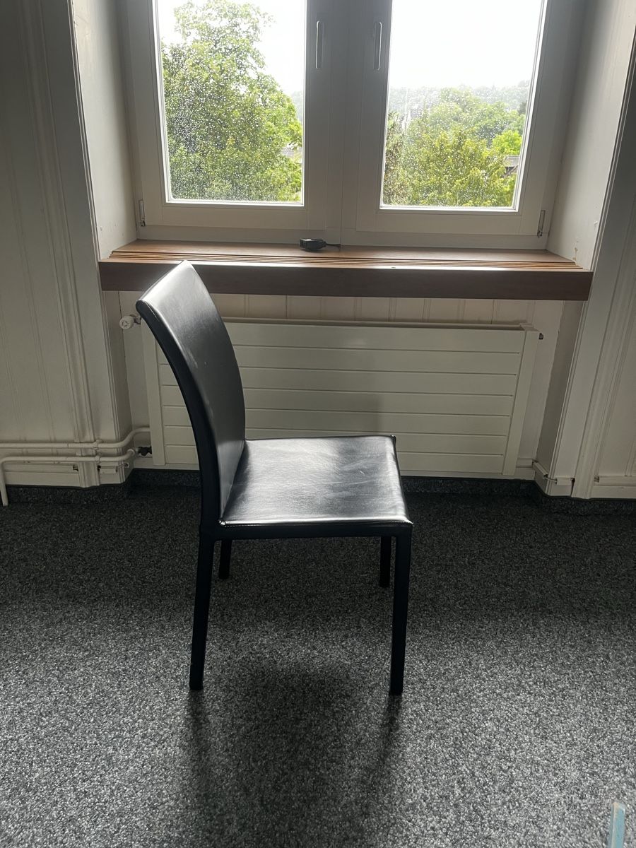Sedie: 8x schwarze Lederstühle – Usato da Schaffhausen venduto da Patilou 2