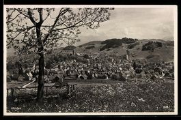 AK Heiden, Ortsansicht mit Baum und Wiese im Vordergrund