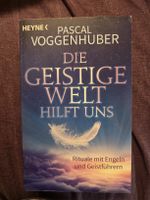 Buch Pascal Voggenhuber Die geistige Welt hilft uns