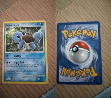 Squirtle 112/132