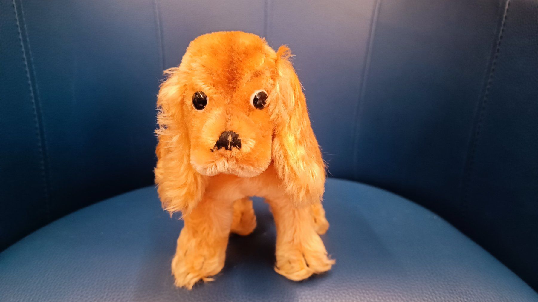 Giocattoli: Steiff Cocker Spaniel Hund Cockie Vintage – Usato da Reiden venduto da Zofi-Brocki 2