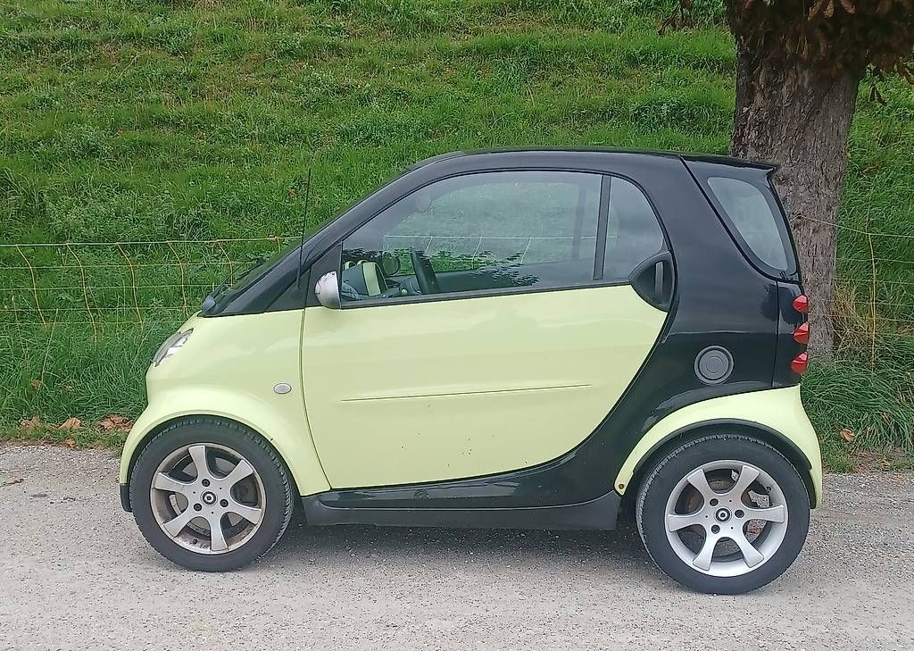Automobili: SMART 450 pour Pieces – Usato da Romont FR venduto da cti_sdw2