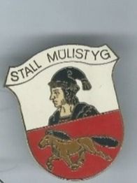 Placchette & Badge: Stall Mülistyg PIN – Usato da Zürich venduto da t24_de