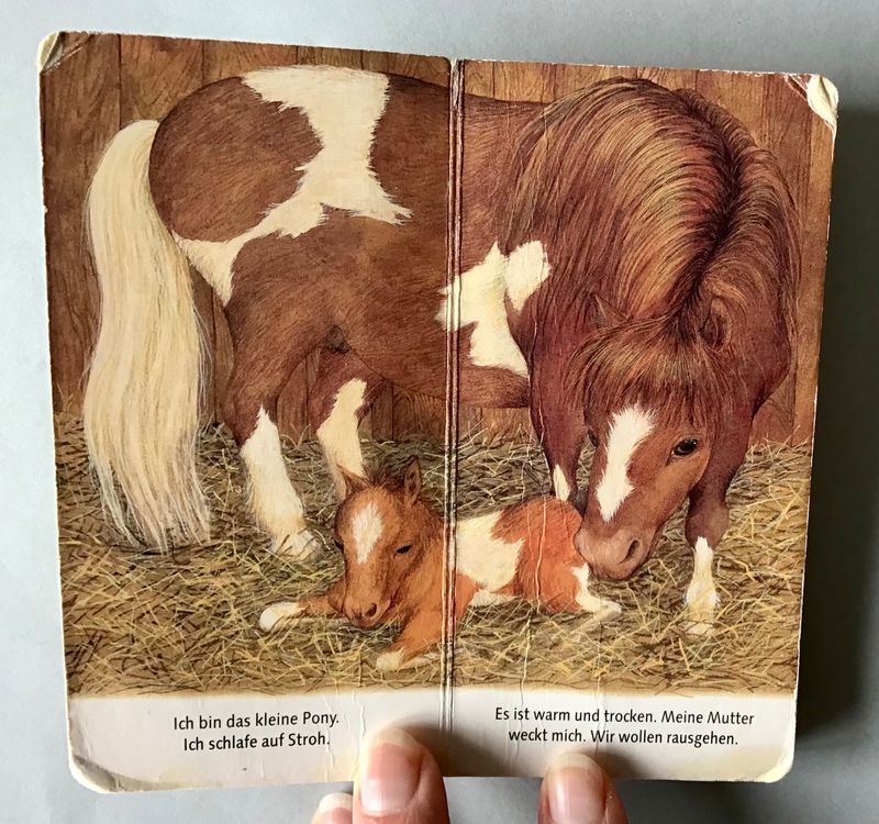 Bilderbuch Ich bin das kleine Pony Kaufen auf Ricardo