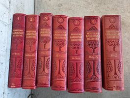 Nouveau Larousse illustré - antike Lexika französisch