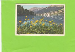 Davos-Trollblumen