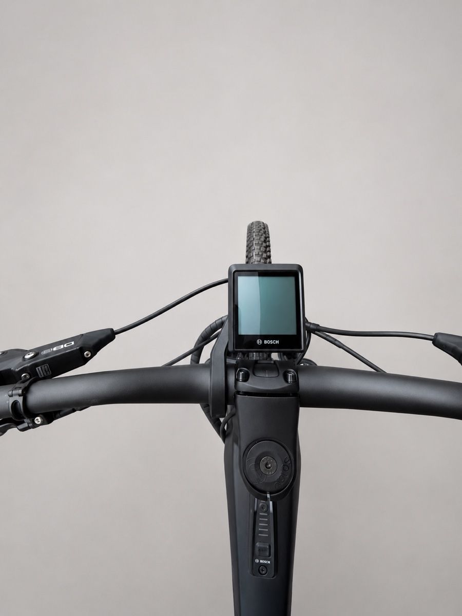 Bergstrom Biciclette: Bergstrom FLOW 2 Alps E-MTB Fully L  – Nuovo (secondo la descrizione) da Lyss venduto da Swiss_1992 4