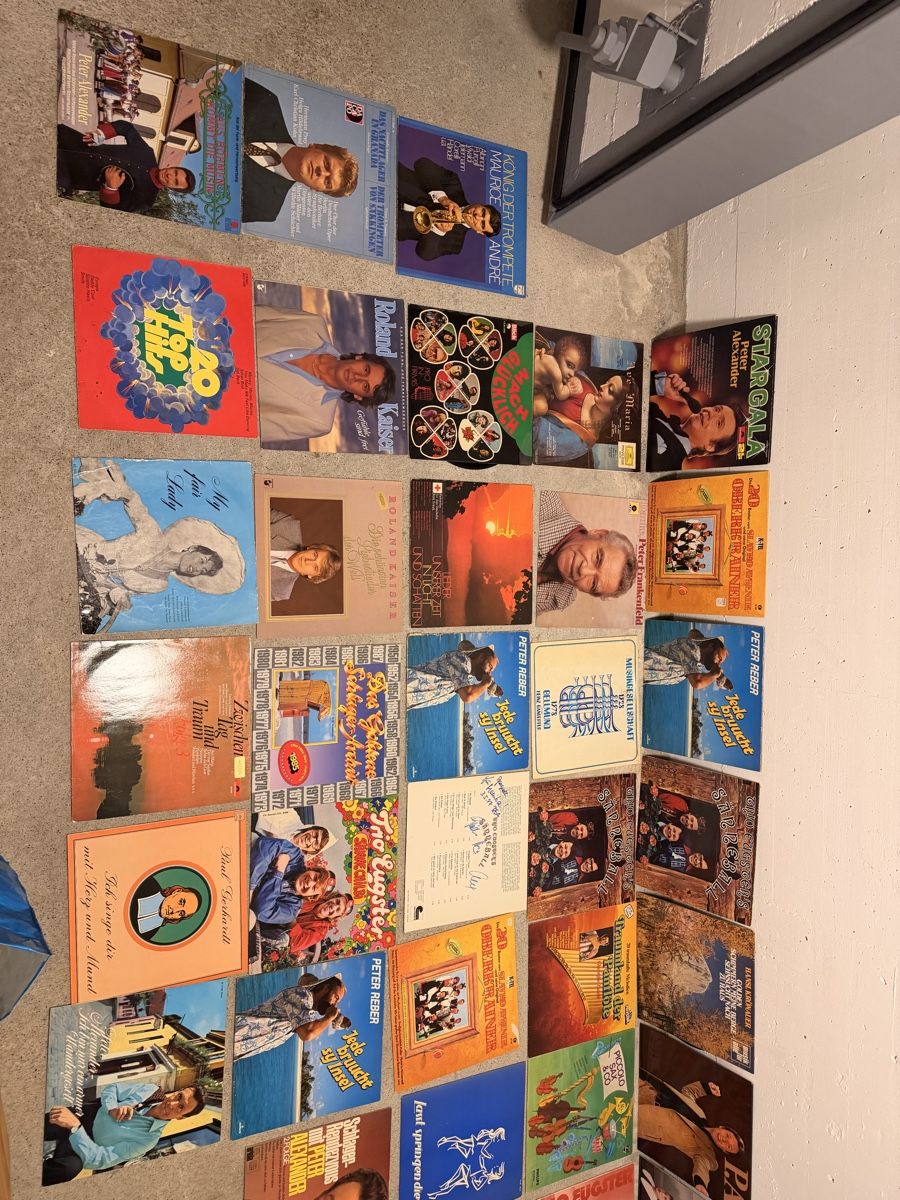 Dischi in vinile: Große Sammlung von Schallplatten – Usato da Seewen SZ venduto da nik_89bh 8