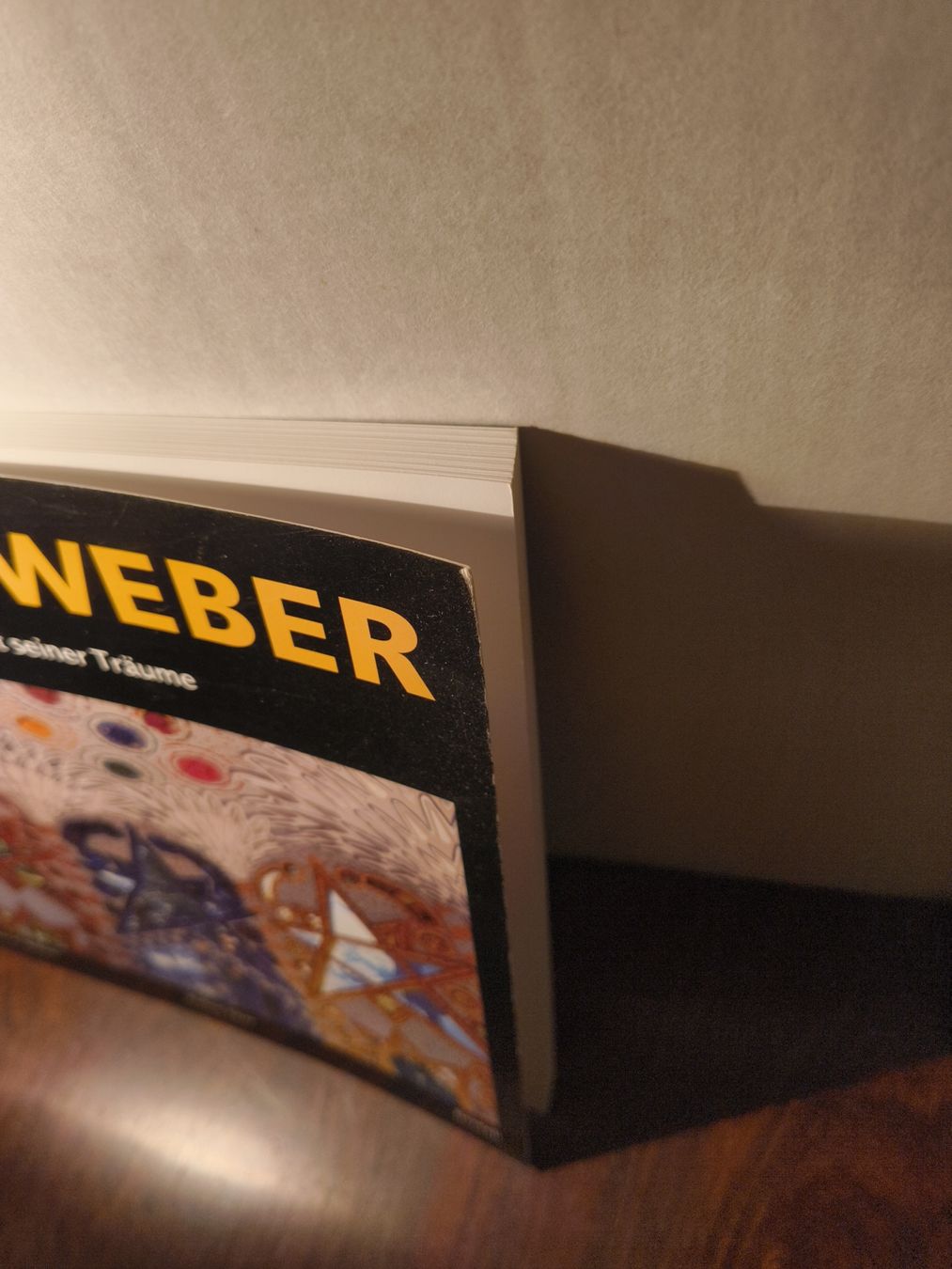 Livres: Buch Bruno Weber Der Architekt seiner Träume Benteli Dietiko – D'occasion à stettlen par VintageBern_ch 8