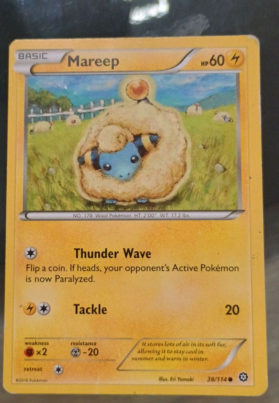 Pokémon Carte collezionabili: Mareep Pokemon Card, XY Evolutions, Nr. 38/114 – Usato da Murten venduto da Palli23