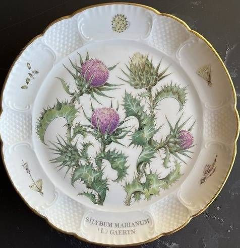 Piatti: Assiettes à dessert – Usato da Courgenay venduto da hello152 1