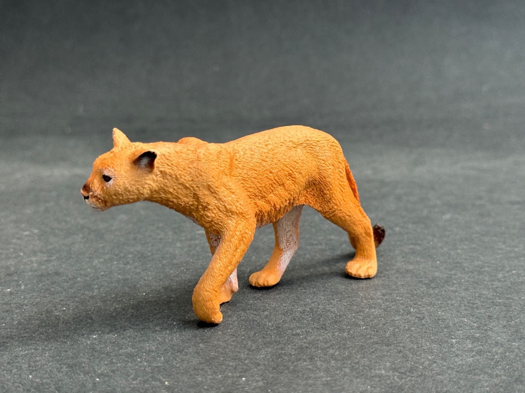Schleich Statuette: Schleich Puma - wie neu – Nuovo (secondo la descrizione) da Ennetbaden venduto da mapa05 3