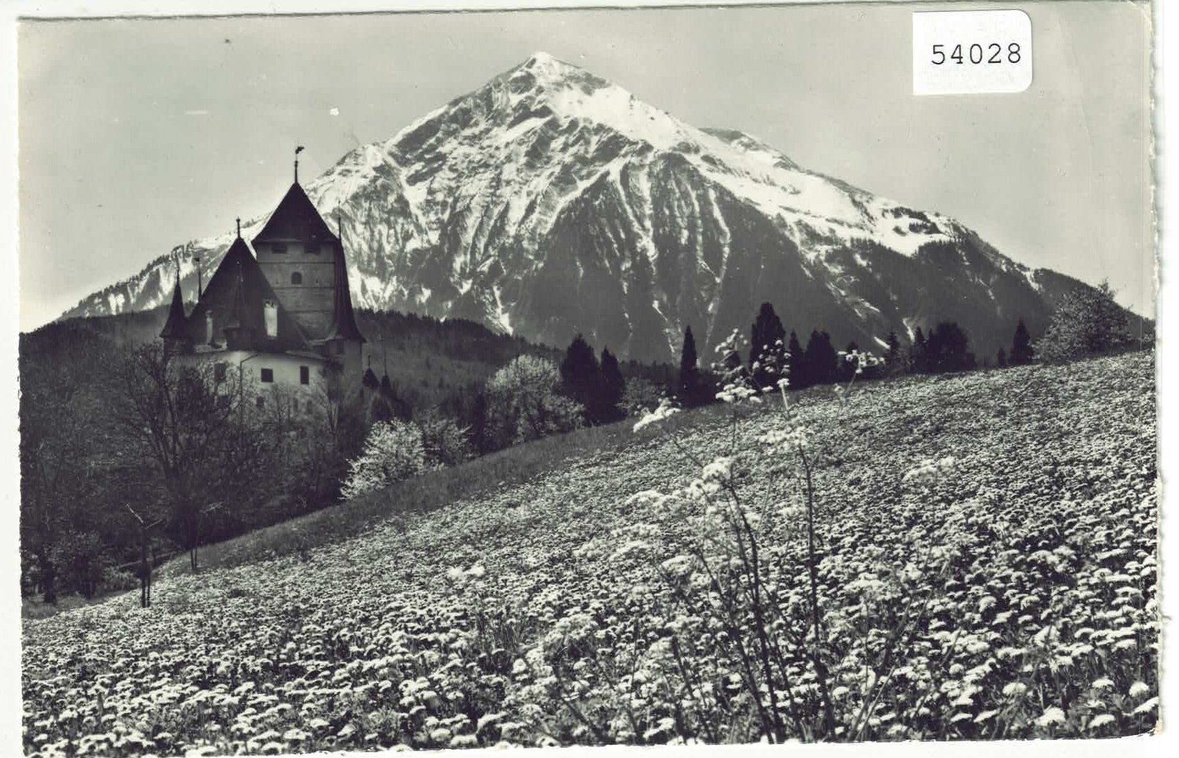 Cartoline postali: Spiez - Schloss im Frühling – Usato da Ettingen venduto da Kartenplanet