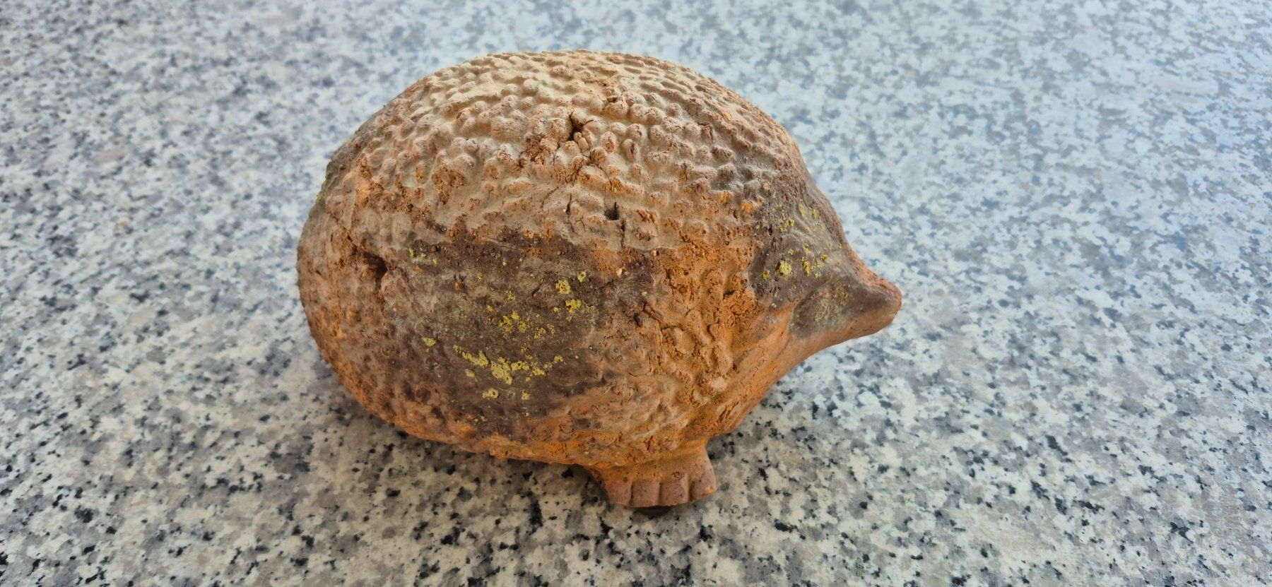 Statuette: Igel - Gartenobjekt aus Terracotta – Usato da Eggersriet venduto da Fredb