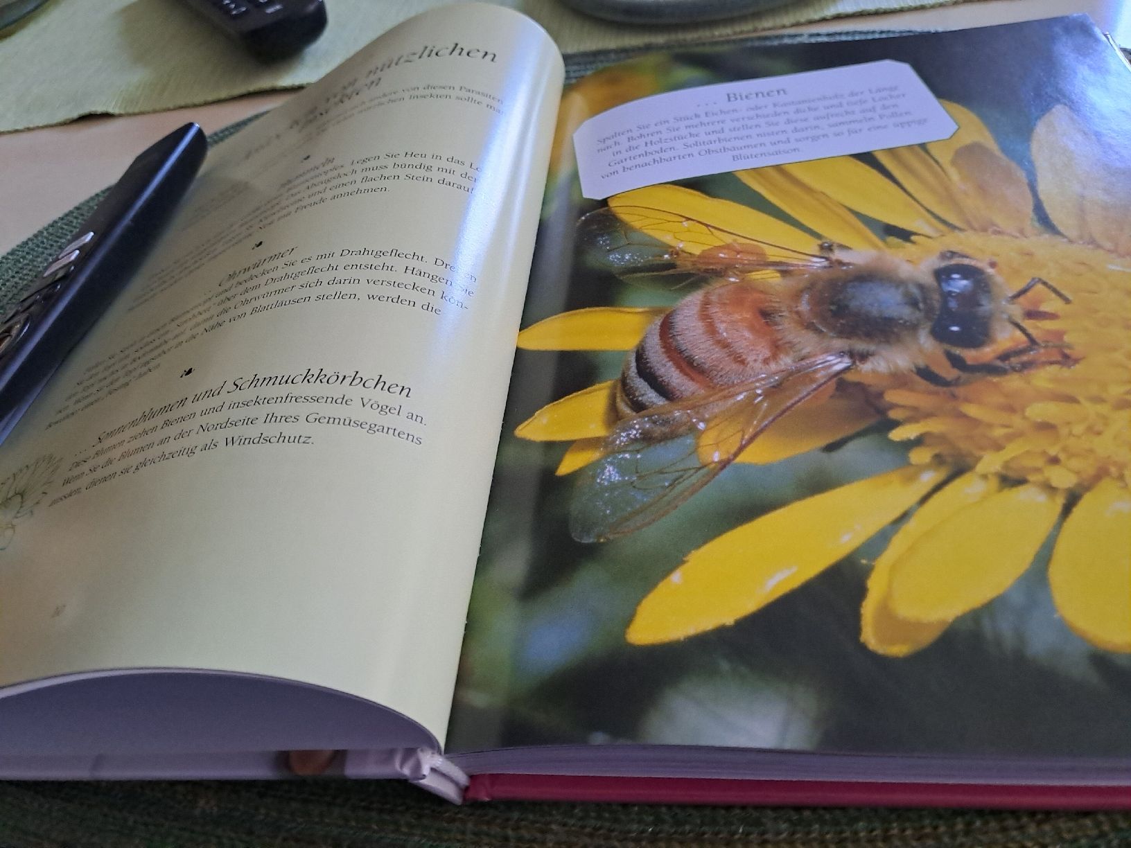 Libri: Omas Haushaltstipps - "Die besten Tipps & Tricks" – Usato da Zürich venduto da Schoebi19 3