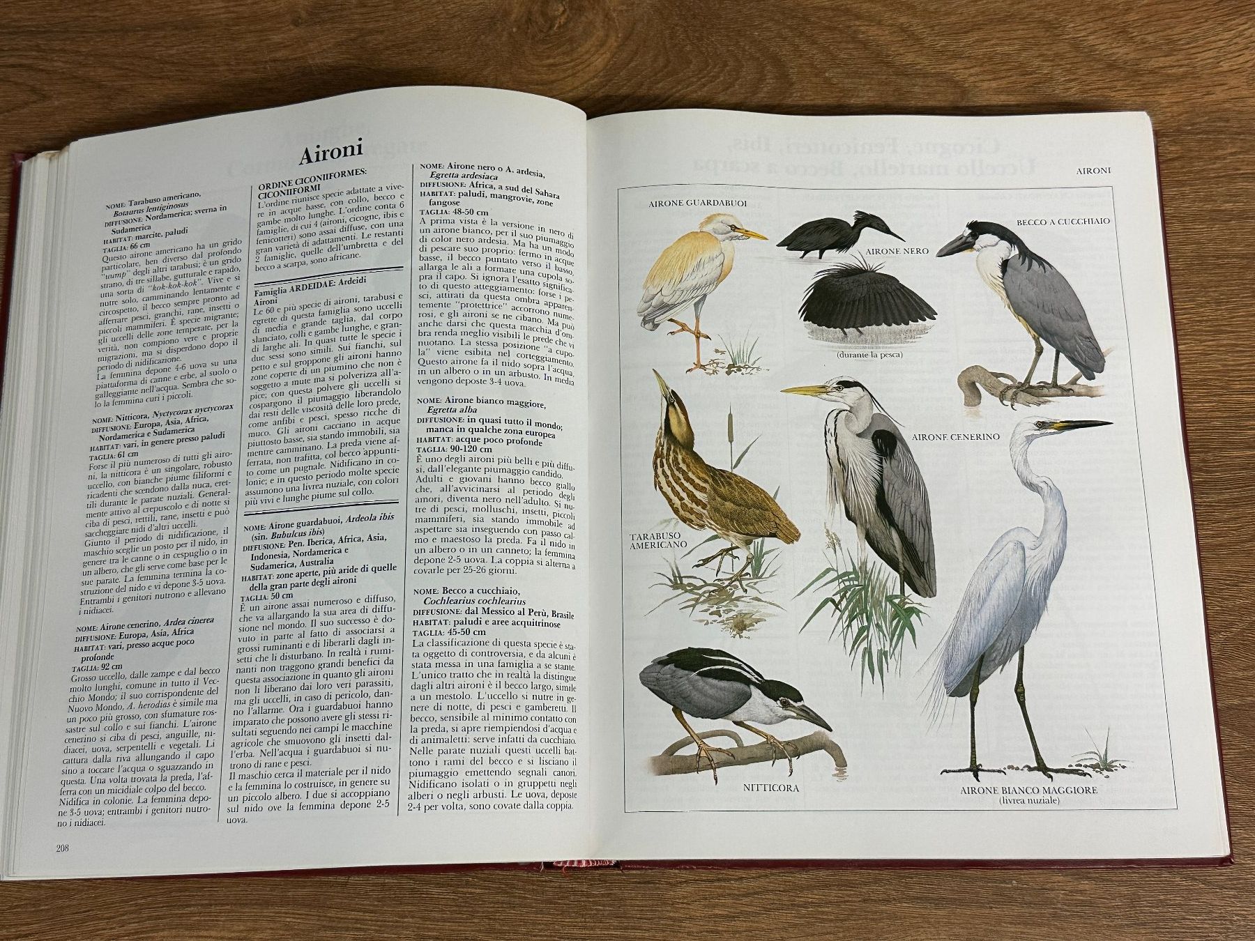 Bücher: Tier-Enzyklopädie, reich illustriert – Gebraucht aus Nussbaumen AG von olitech5415 7