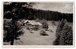 Hohlenweg bei Riggisberg, Ferienheim Waldruh, gelaufen 1950