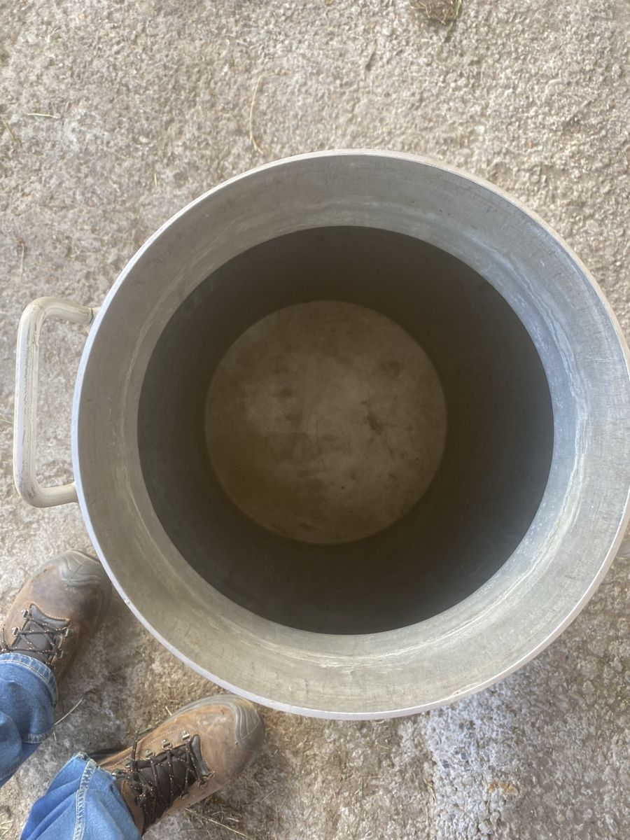 Agricoltura: 50 l Milchkanne  – Usato da Menzingen venduto da Edelmuni7 2