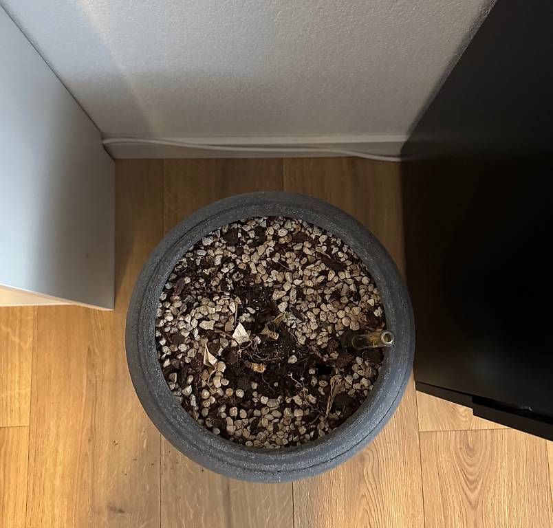 Vasi per fiori: Dekorative Indoor-Pflanzentöpfe – Usato da Liebefeld venduto da Anshalina 2