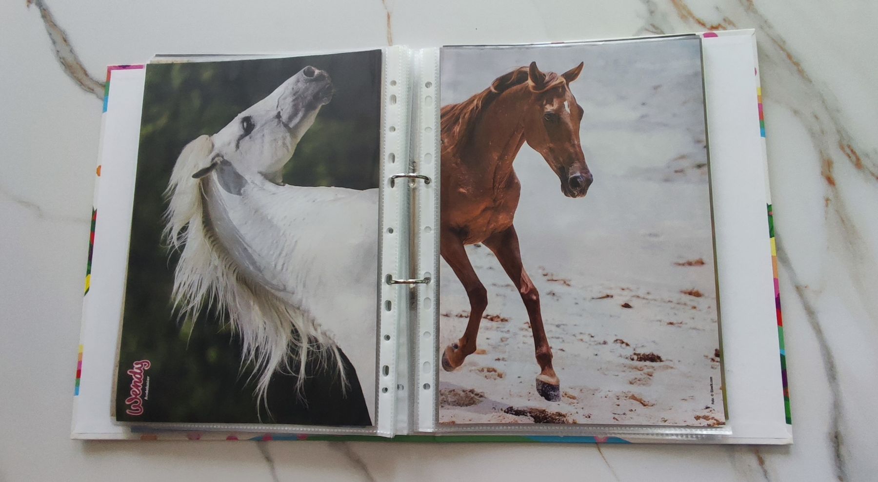Cartes à collectionner: Pferde – D'occasion à Othmarsingen par HBN 2