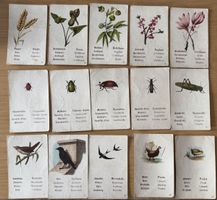 Lot 60 cartes naturalistes anciennes + boîte d’origine