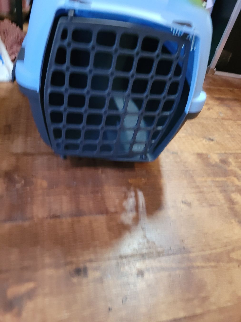 Cages, transport & sécurité: Hundetransport – Neuf (Voir description) à Zihlschlacht par Sun25 3