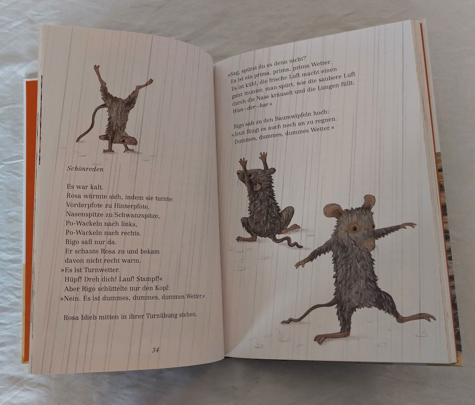 Libri: Rosa Maus und Rigo Leopard / Lorenz Pauli + Kathrin Schärer – Usato da Bellach venduto da JingleJerry 5