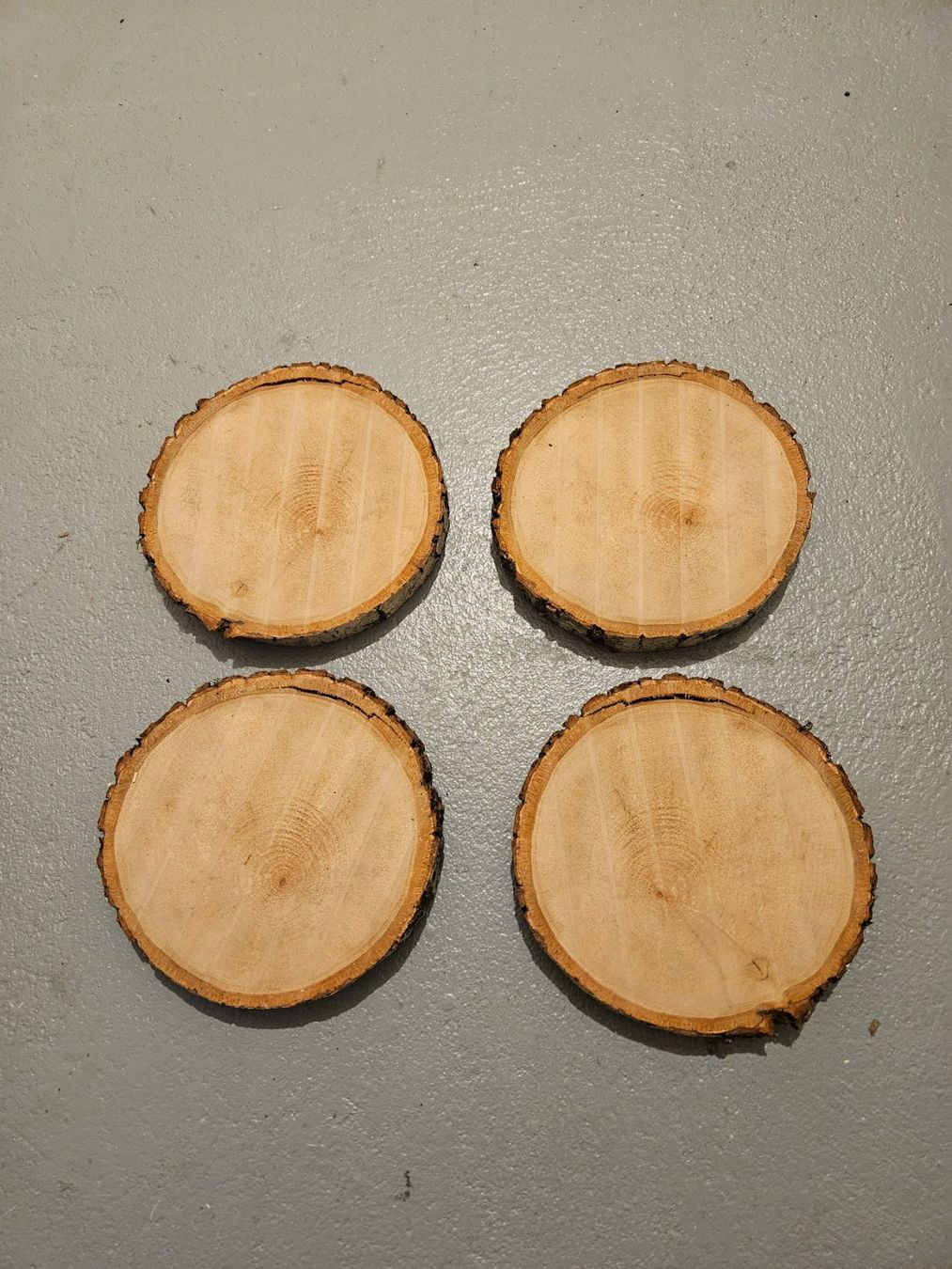 Articoli in legno: Holzscheiben/Baumscheiben – Nuovo (secondo la descrizione) da Brunnen venduto da kent03
