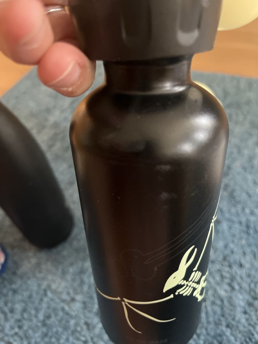 Sigg Borracce & Thermos: Metall Trinkflaschen Set 4 Stk. – Usato da Aarau venduto da SCH_EV 5