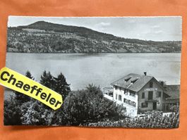 Vintage Postkarte Restaurant Delphin Hallwilersee 1948