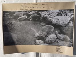 Poster mit Spruch von Karel Capek "Ein Stein"