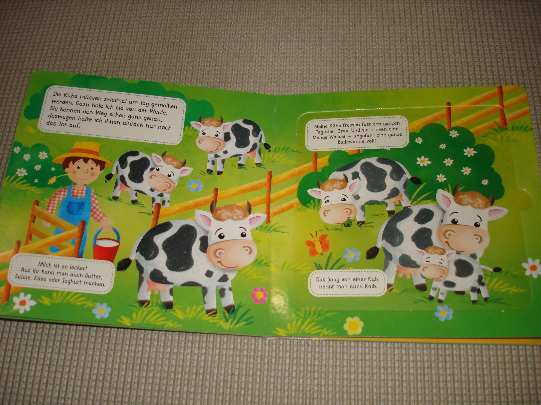 Libri: Kinderbuch Tiere auf dem Bauernhof – Usato da Gossau ZH venduto da Crfurrer 1