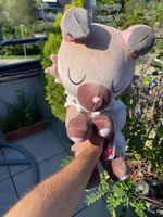 Wuffels,  schlafendes Pokémon Plüschtier, Rockruff Plush 
